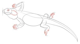 Jak narysować jaszczurkę 6