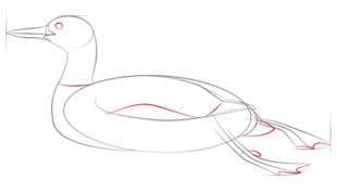 Jak narysować kaczkę 5