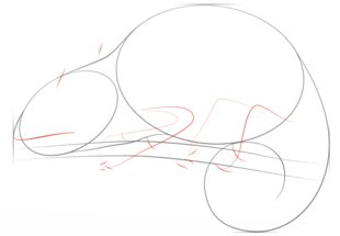 Jak narysować kameleona 3