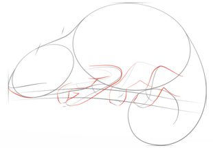Jak narysować kameleona 4