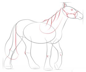 Jak narysować konia 5