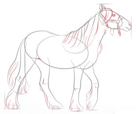 Jak narysować konia 6