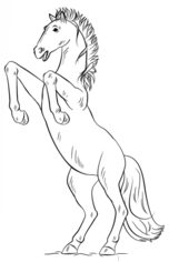 Jak narysować konia 8