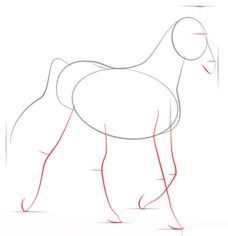 Jak narysować konia 3