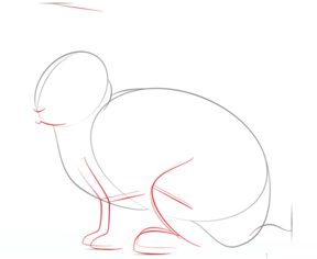 Jak narysować królika 3