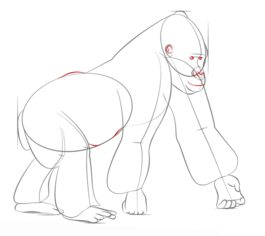Jak narysować małpę - goryl 7