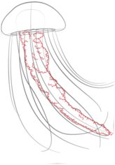 Jak narysować meduzę 6