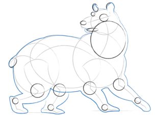 Jak narysować niedźwiedzia 5