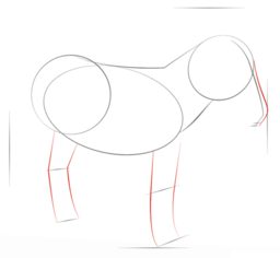 Jak narysować osła 4