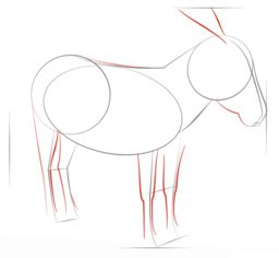 Jak narysować osła 5