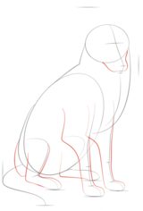 Jak narysować psa - Collie 4
