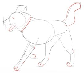 Jak narysować psa - Husky 5