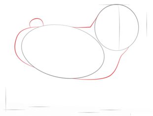 Jak narysować psa - Mops 2