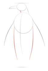 Jak narysować pingwina 3