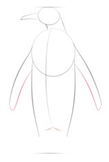 Jak narysować pingwina 4
