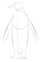 Jak narysować pingwina 6