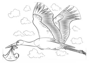 Jak narysować ptaka - Bocian 7