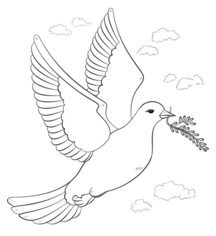 Jak narysować ptaka - Gołąb 9