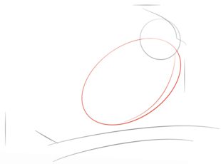 Jak narysować ptaka - Modrosójka 2