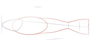 Jak narysować rybę 2