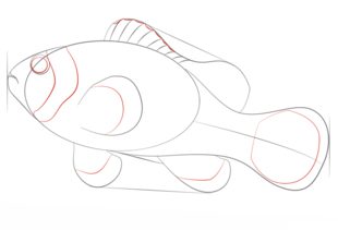 Jak narysować rybę 5