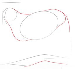 Jak narysować rysia 2