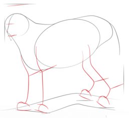 Jak narysować rysia 3