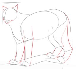Jak narysować rysia 4