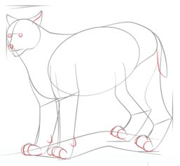 Jak narysować rysia 5