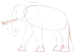 Jak narysować słonia 3