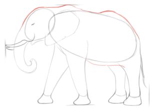 Jak narysować słonia 4