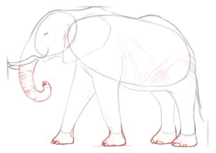 Jak narysować słonia 5