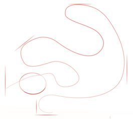 Jak narysować węża - Pyton 1