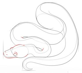 Jak narysować węża - Pyton 5