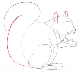 Jak narysować wiewiórkę 5