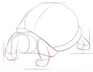 Jak narysować żółwia 5