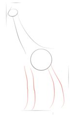 Jak narysować żyrafę 3