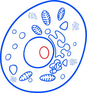 Jak narysować bakterię 8