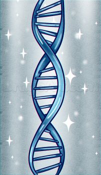 Jak narysować DNA 6