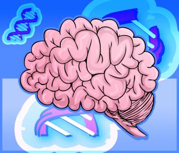 Jak narysować mózg 7